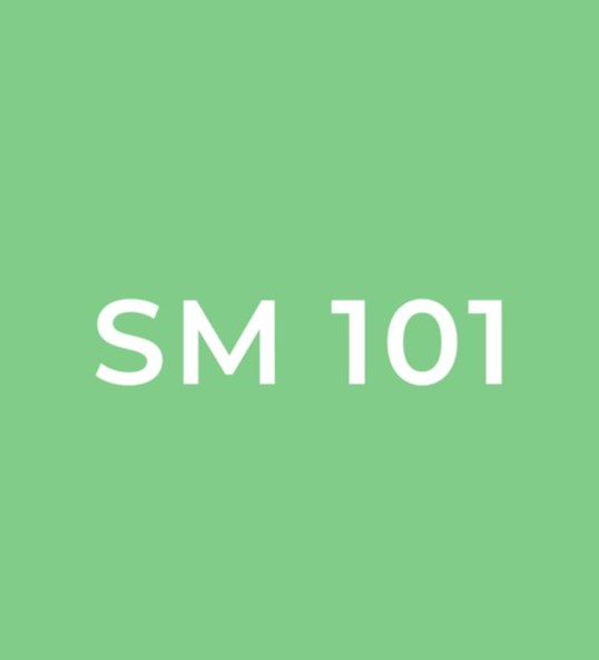 SM 101